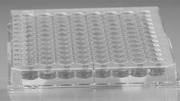 96-Well Plate | Transparent Microplate